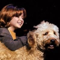 ANNIE Set To Open Tonight At Beef And Boards, Runs Through 7/3 Video